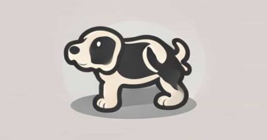 Bonehead Dog Chew Holder Uk