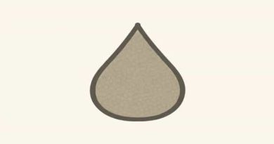 Bouleau Pubescent Scientific Name