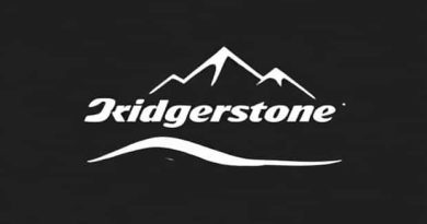 Bridgestone Dueler A/T Ascent