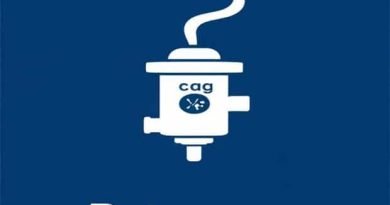 Briggs And Stratton Petcock