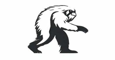 Bronco Sasquatch For Sale