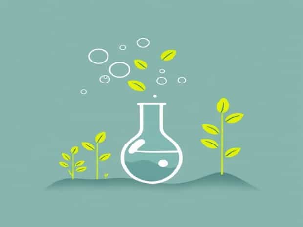 Bubbling Plants Experiment To Quantify Photosynthesis