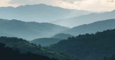 Cameron Highlands To Malacca