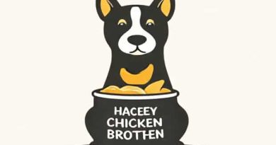 Can Dogs Have Chicken Broth