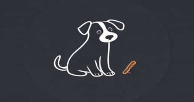 Can Dogs Have Cinnamon