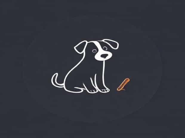 Can Dogs Have Cinnamon