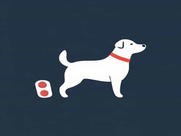 Can Dogs Have Ibuprofen