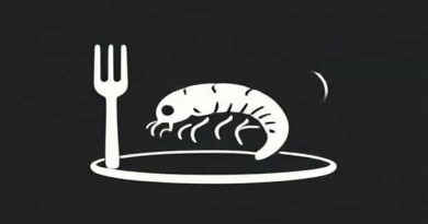 Can You Eat Maggots Food