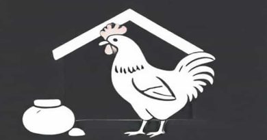 Can You Housebreak A Chicken