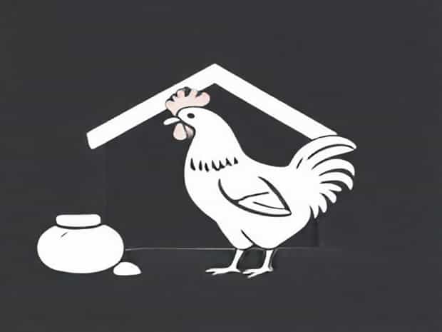 Can You Housebreak A Chicken