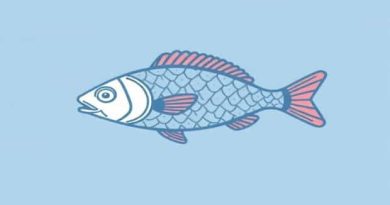 Can You Mummify A Fish