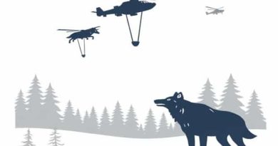 Canadian Wolves Airdropped To Kill Moose