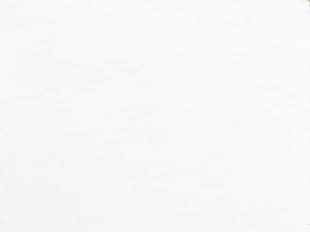 Canson Ingres Drawing Paper