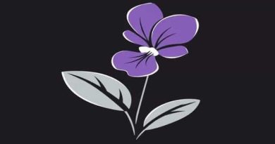 Care For African Violet