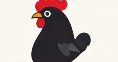 Chicken Licken Steve Biko