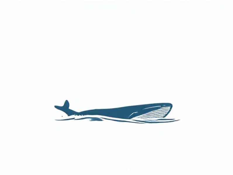 Continuous Wave Boston Whaler