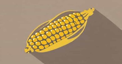 Corncob Is Rich In Which Of The Following Vitamins