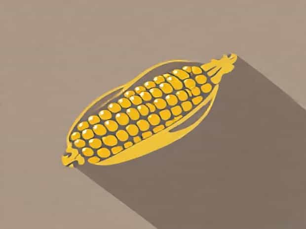 Corncob Is Rich In Which Of The Following Vitamins