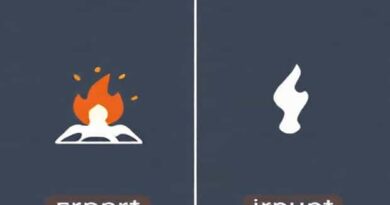 Difference Between Erupt And Irrupt