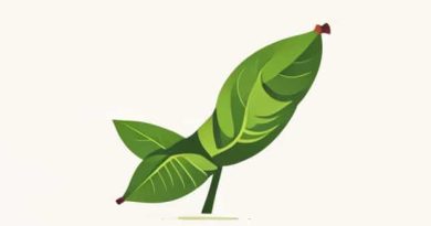 Does Plantain Have Protein