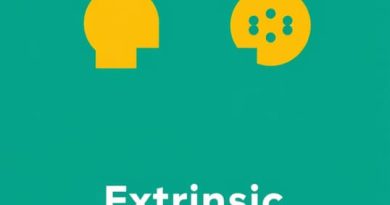 External Vs Extrinsic Motivation