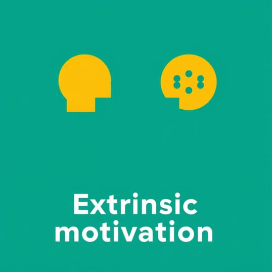 External Vs Extrinsic Motivation