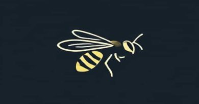 Fly That Looks Like A Wasp