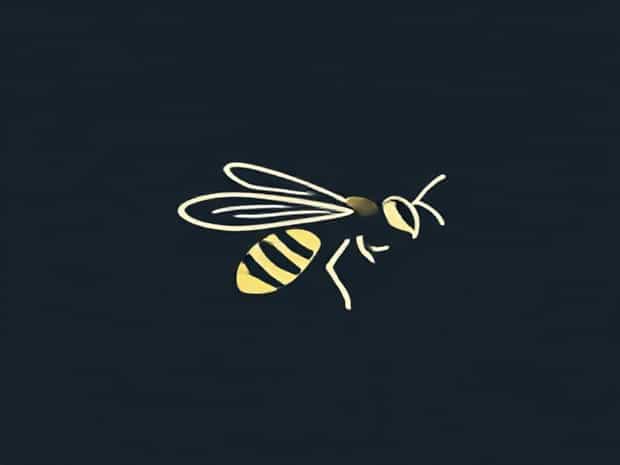 Fly That Looks Like A Wasp