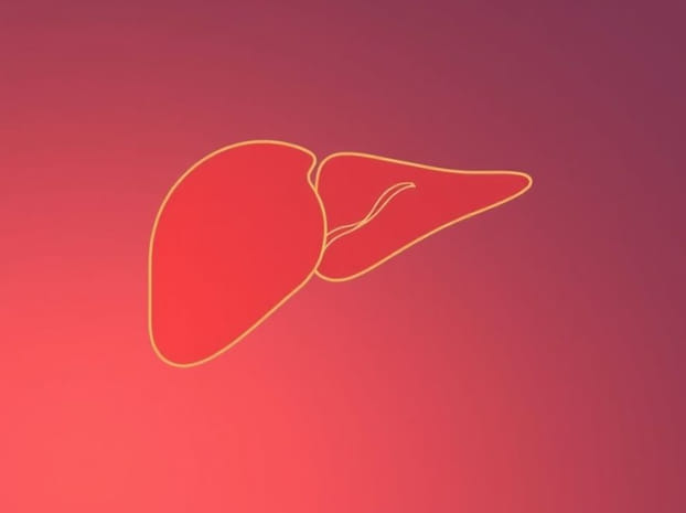 From The Point Of Ontogeny