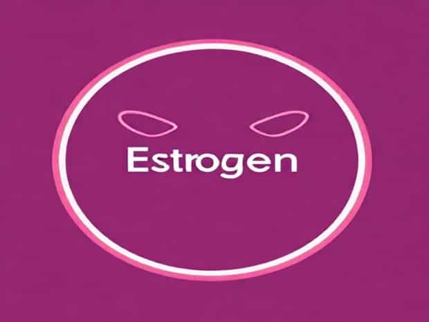 Function Of Estrogen In Females