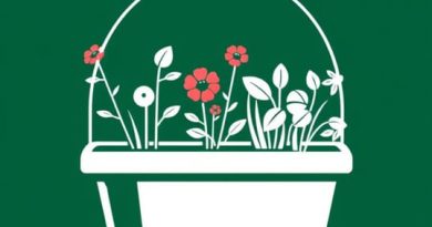 Garden Trug Plastic B&Q