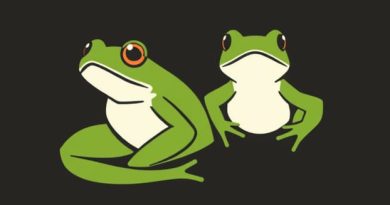 How Do Frogs Hibernate