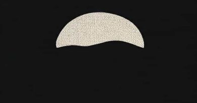 How Do You Say Passivity