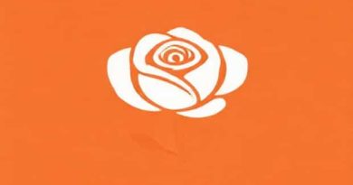 How Do You Say Roseate