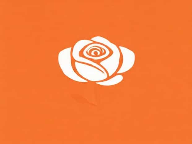 How Do You Say Roseate