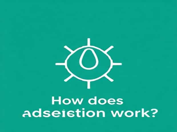 How Does Adsorption Work?