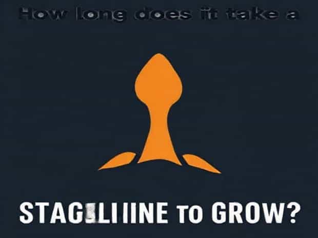 How Long Does It Take A Stalagmite To Grow