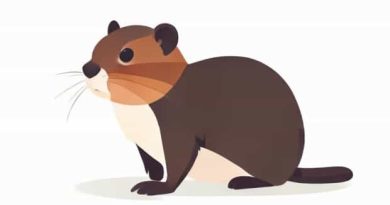 How To Draw A Lemming Easy