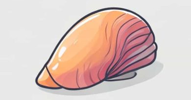 How To Draw A Limpet