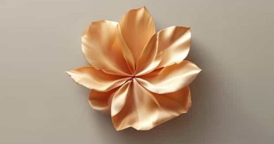 Is Shantung Silk Expensive