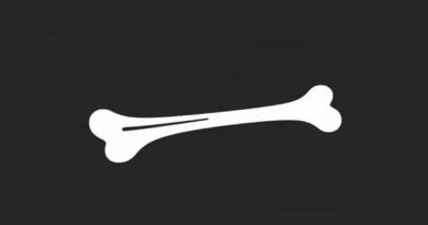 Is The Humerus A Long Bone?