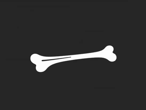 Is The Humerus A Long Bone?