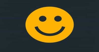 Is Vehement Positive Or Negative