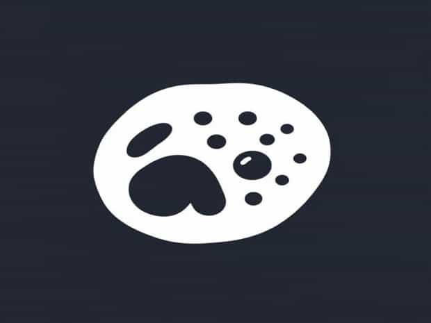 Is Vesicle Prokaryotic Or Eukaryotic