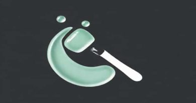 Japonesque Oil Absorbing Roller Reviews