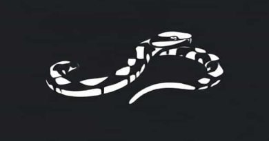 Juvenile Copperhead Snake Images