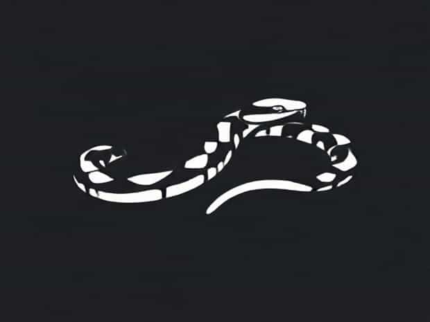 Juvenile Copperhead Snake Images