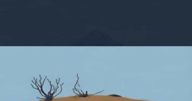 Kelp Point Falkland Islands