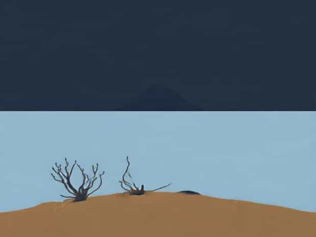 Kelp Point Falkland Islands