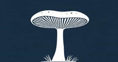 List Of Filamentous Fungi